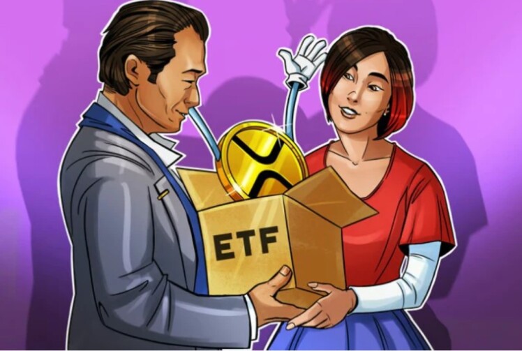 احتمال تأیید ETF ریپل (XRP) در سال ۲۰۲۵ در پلتفرم Polymarket به ۸۱٪ رسید.